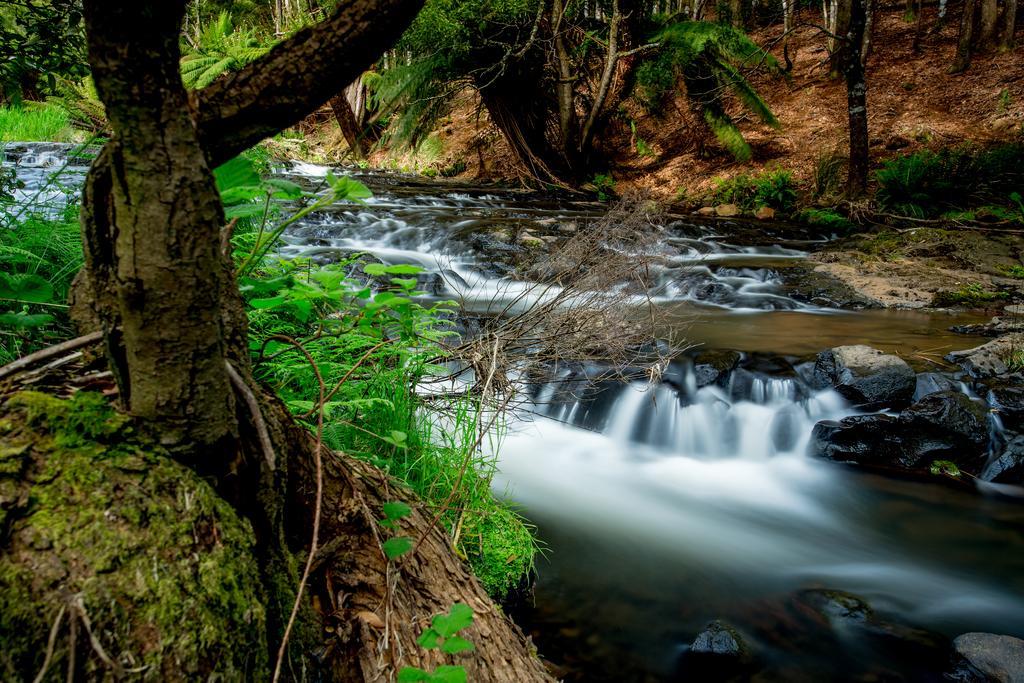 Big4 Tassie Getaway Park Ulverstone Ngoại thất bức ảnh